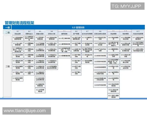 成都乒乓球队整体压制革新之路探秘与未来展望